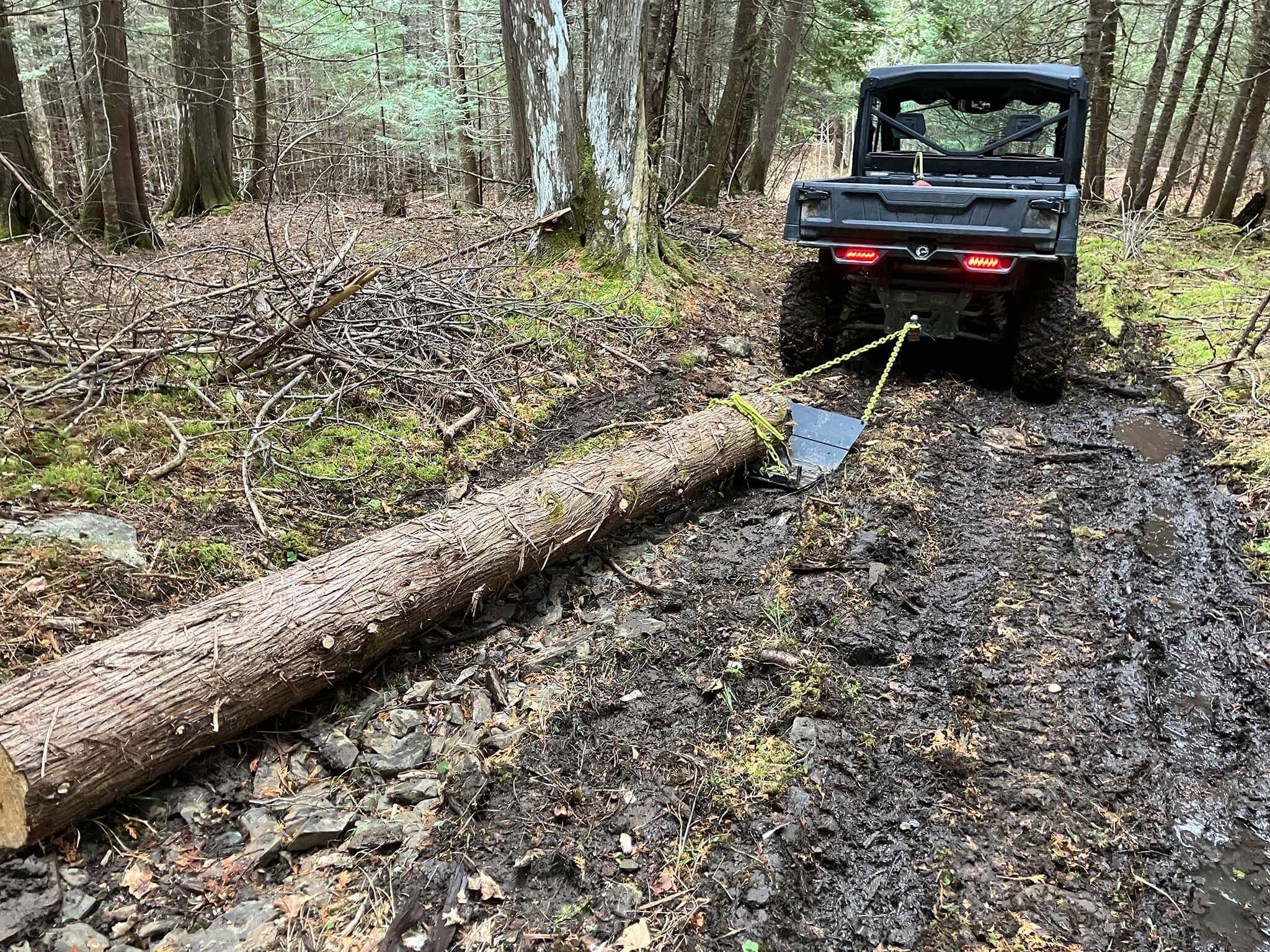 Harvesting Logs